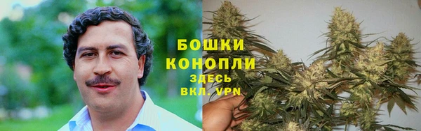 PSILOCYBIN Зеленодольск