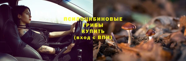 PSILOCYBIN Зеленодольск