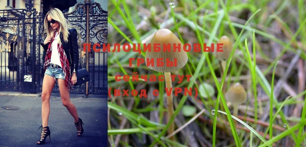 PSILOCYBIN Зеленодольск