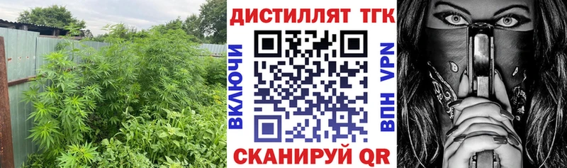 ТГК THC oil  Купить закладки  Мамадыш 