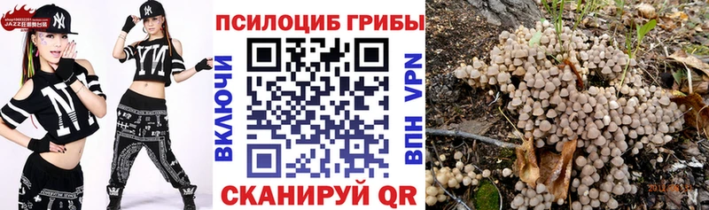 Галлюциногенные грибы Psilocybe  Купить  Мамадыш 